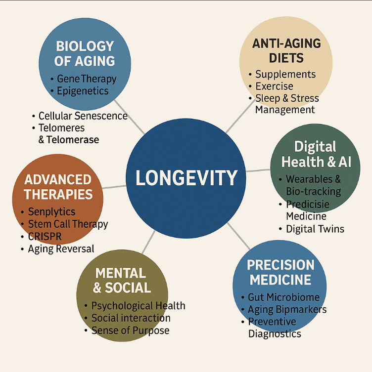 Longevity economy sectors chart: market size by 2030